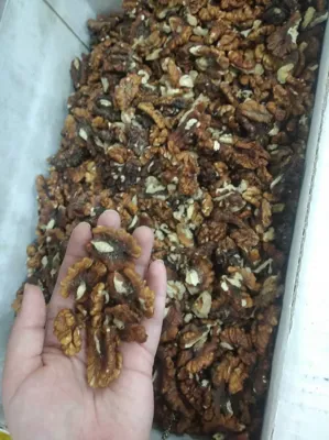 عمده بار سادات