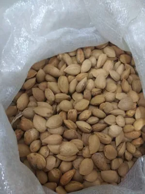 عمده بار سادات