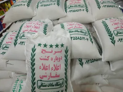 عمده بار سادات