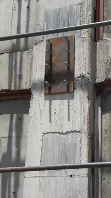 کاشت میلگرد در تهران