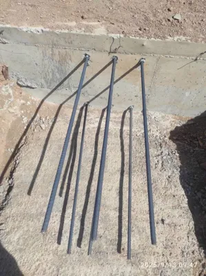 کاشت میلگرد و ریشه در تهران