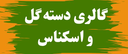 تالار گل کاملیا