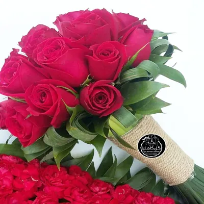 تالار گل کاملیا کرمان