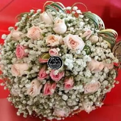 تالار گل کاملیا کرمان