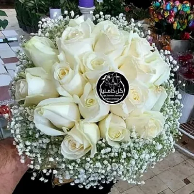 تالار گل کاملیا کرمان