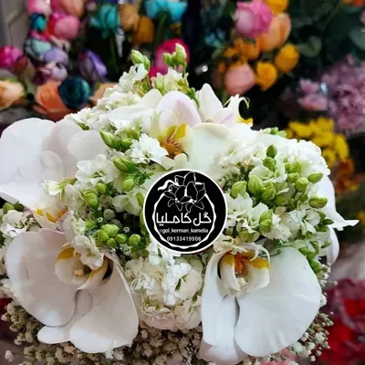 تالار گل کاملیا کرمان