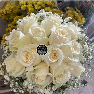 تالار گل کاملیا کرمان