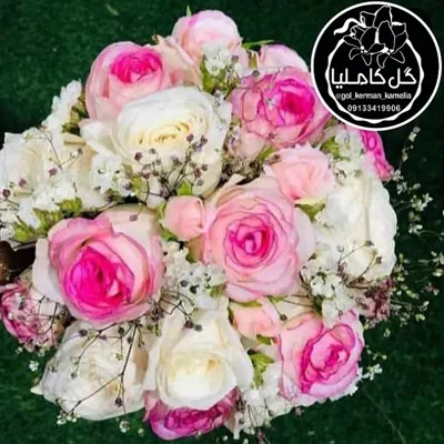 تالار گل کاملیا کرمان