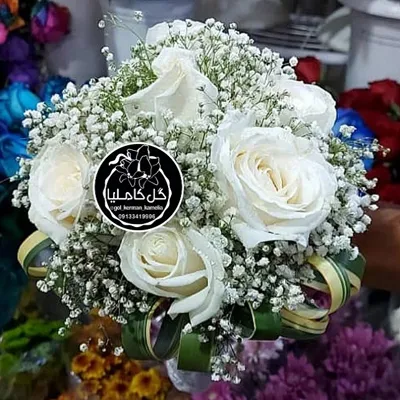 تالار گل کاملیا کرمان