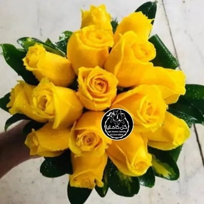 تالار گل کاملیا کرمان