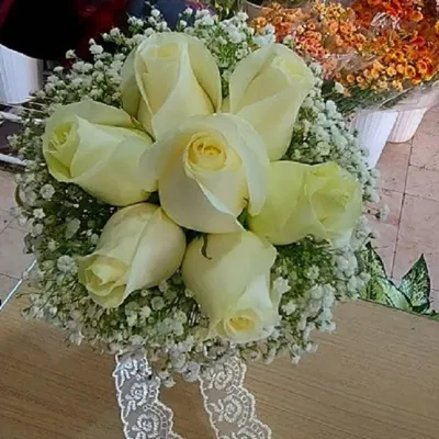 تالار گل کاملیا کرمان