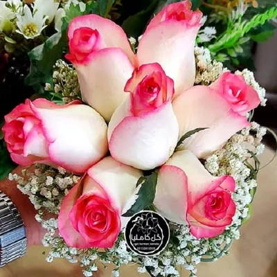 تالار گل کاملیا کرمان