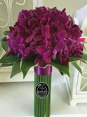 تالار گل کاملیا کرمان