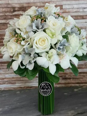 تالار گل کاملیا کرمان