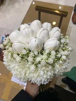 تالار گل کاملیا کرمان