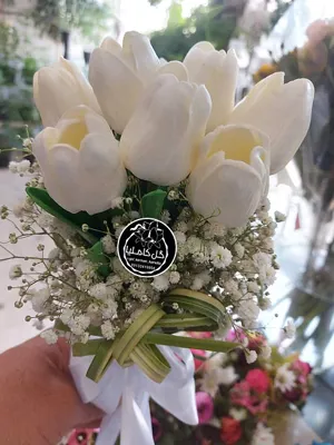 تالار گل کاملیا کرمان