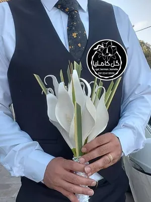 تالار گل کاملیا کرمان