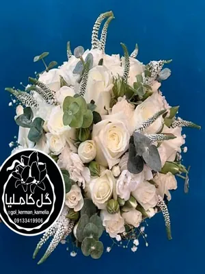 تالار گل کاملیا کرمان