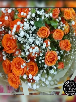 تالار گل کاملیا کرمان