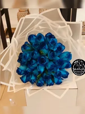 تالار گل کاملیا کرمان