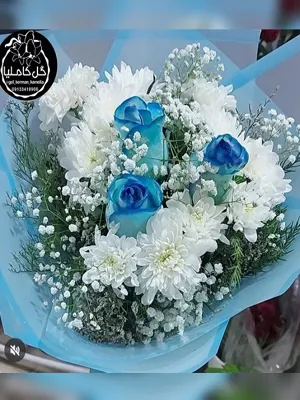 تالار گل کاملیا کرمان