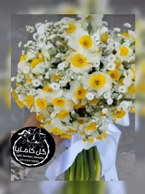 تالار گل کاملیا کرمان