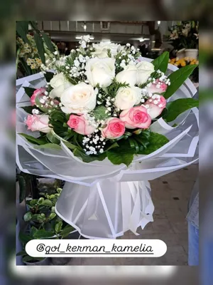 تالار گل کاملیا کرمان