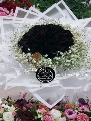 تالار گل کاملیا کرمان