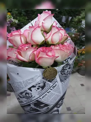 تالار گل کاملیا کرمان