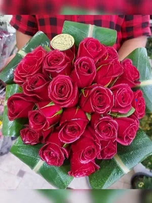 تالار گل کاملیا کرمان