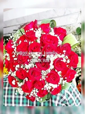 تالار گل کاملیا کرمان