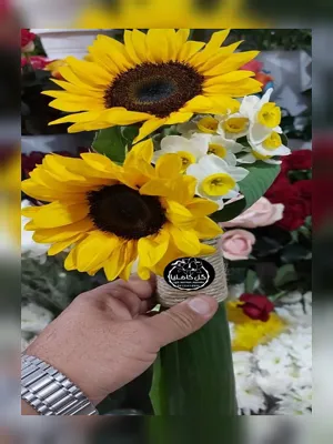 تالار گل کاملیا کرمان