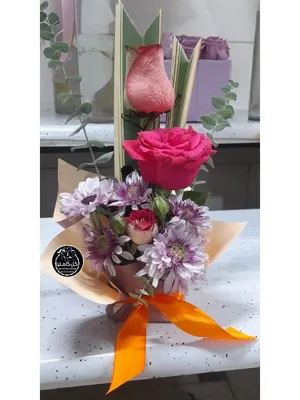 تالار گل کاملیا کرمان