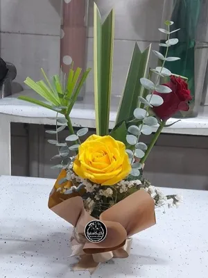 تالار گل کاملیا کرمان