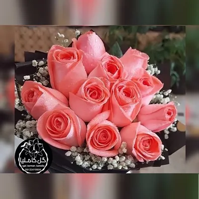 تالار گل کاملیا کرمان