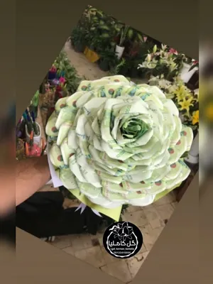 تالار گل کاملیا کرمان