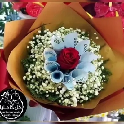 تالار گل کاملیا کرمان
