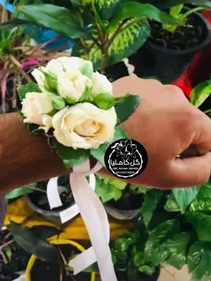 تالار گل کاملیا کرمان