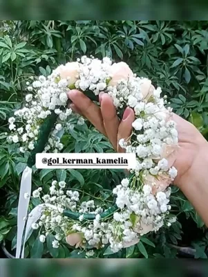 تالار گل کاملیا کرمان