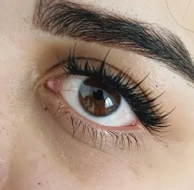 مژه کایلی در مشیریه