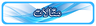 اجرای انواع سقف حیاط خلوت