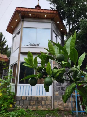 سوییت رحیم آباد کباب ماهی و اقامتگاه کاسکولی