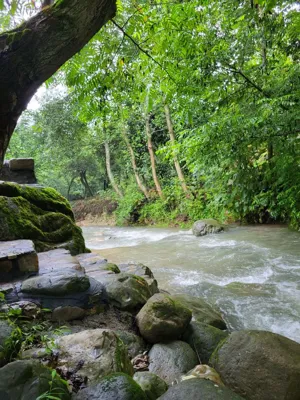 سوییت رحیم آباد کباب ماهی و اقامتگاه کاسکولی