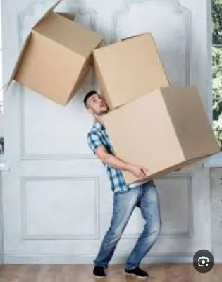 باربری زرین خزر