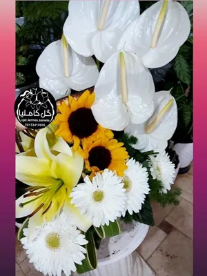 گل فروشی آنلاین کرمان