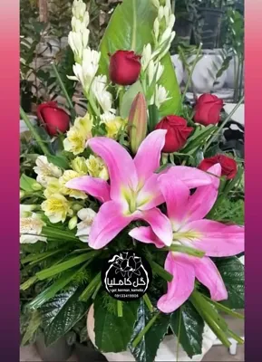 گل فروشی آنلاین کرمان
