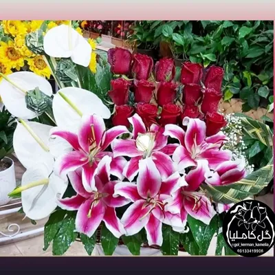 گل فروشی آنلاین کرمان