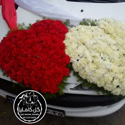 گل فروشی آنلاین کرمان