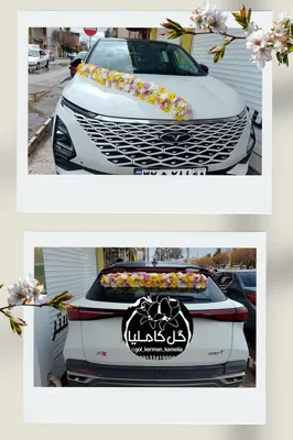 گل فروشی آنلاین کرمان