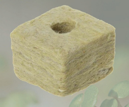 سیدرسول کافی موسوی نجف آبادی
